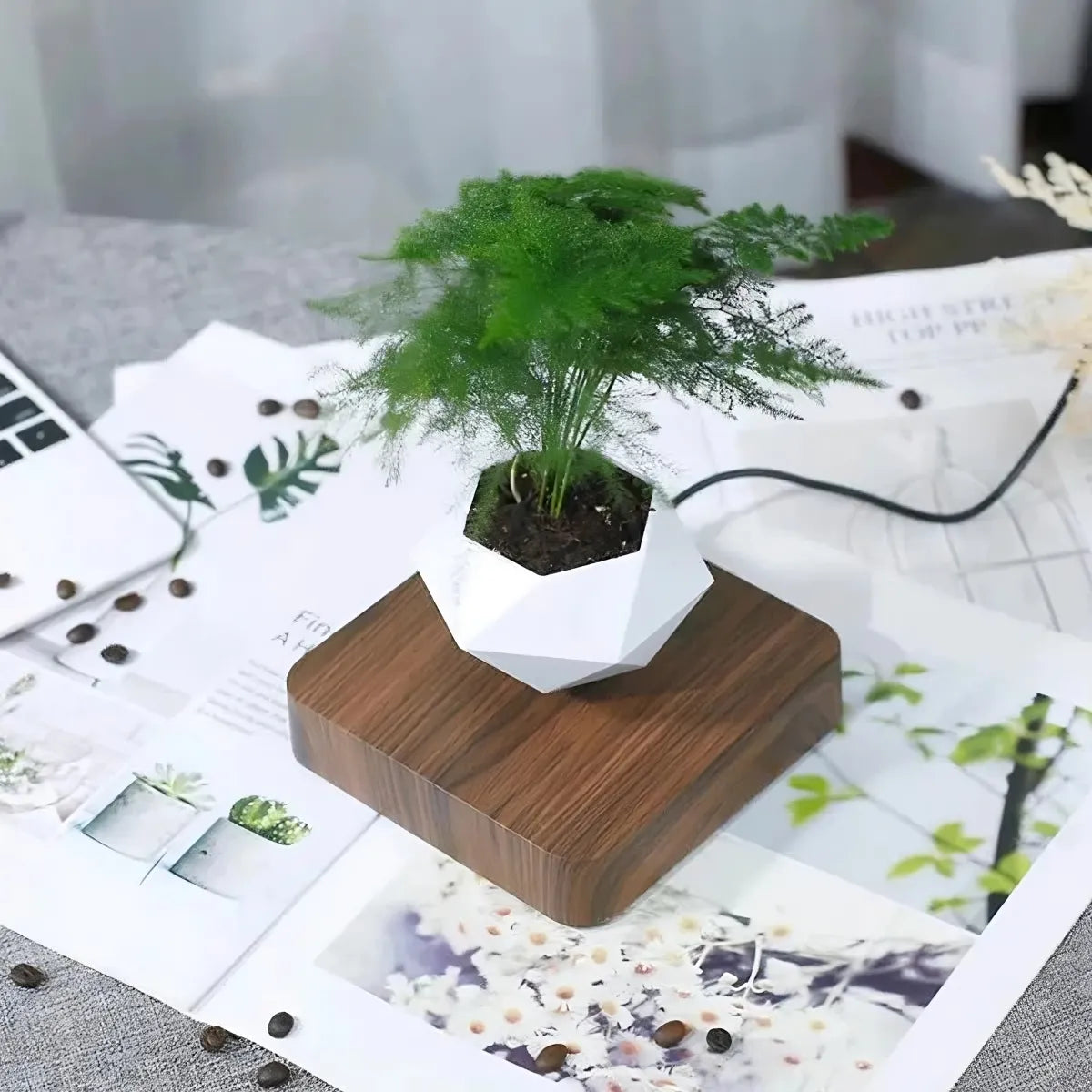 Levitating Air Bonsai™